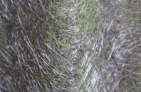 Lower Marston fibreglass roof work